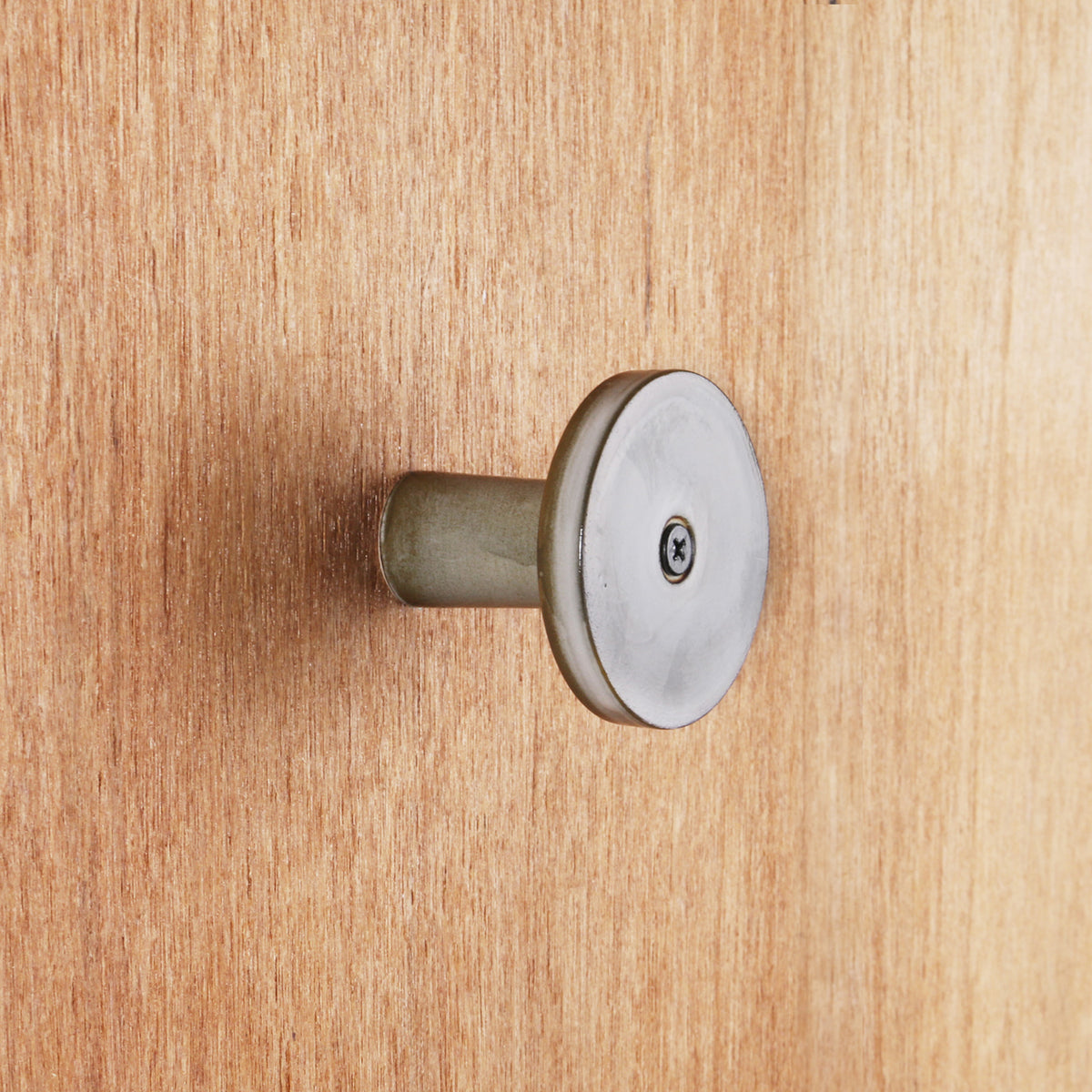 Wall Hook / Saltbush