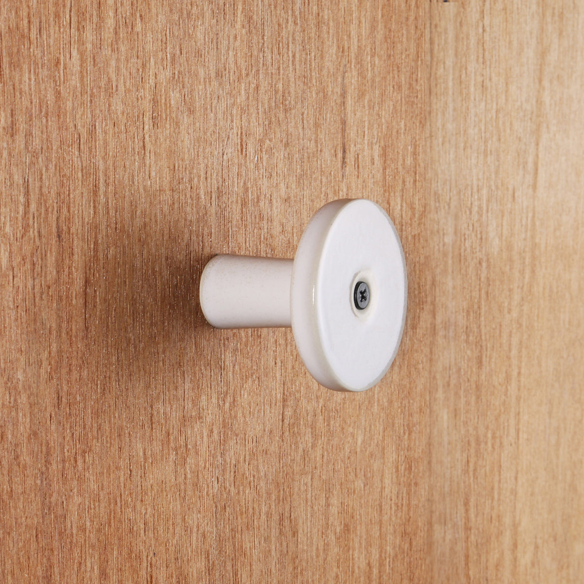 Wall Hook / Coast